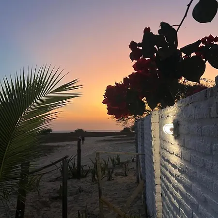 Casa Free Wind Jeri-3