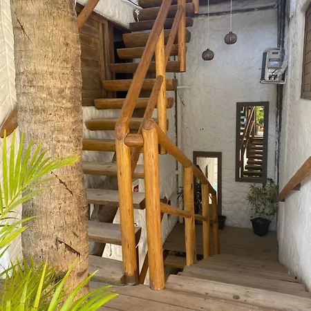 Casa Palmeira-2