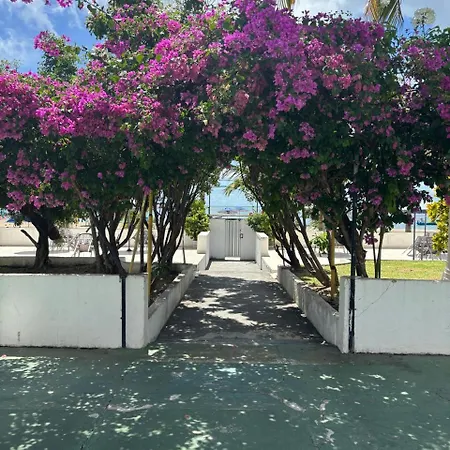 Apto 3 Quartos Pe Na Areia Prox De Recife-3