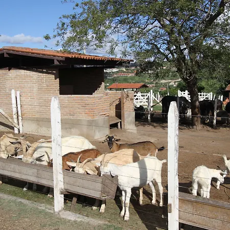 Hotel Fazenda Portal de Gravatá-2