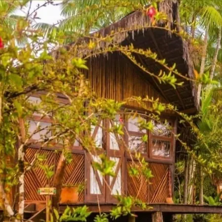 Art Jungle Eco Lodge-3