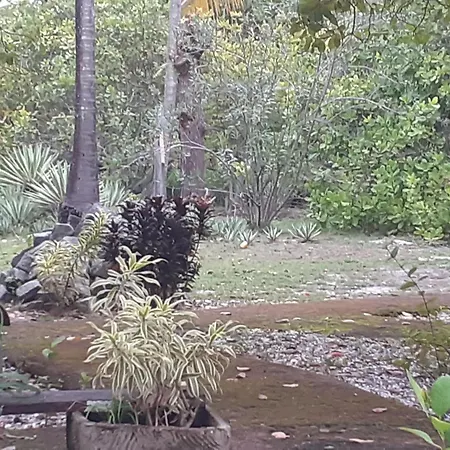 Ecolodge Batel Alagoas-2