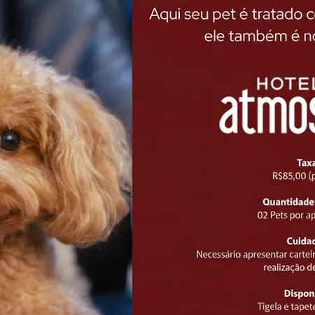 Hotel Atmosfera Feira de Santana-3