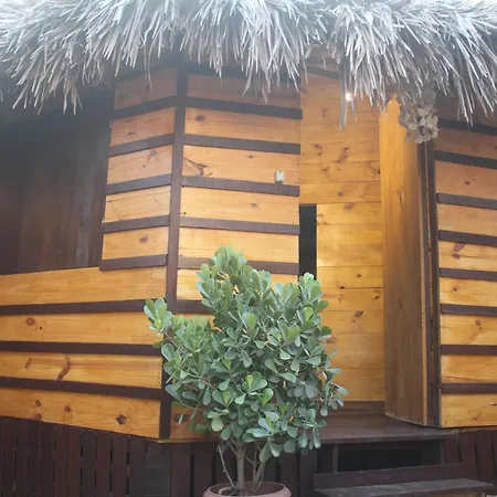 Raiz Hostel-2