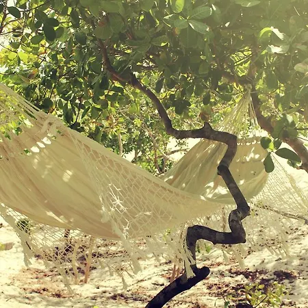 Eco Kite Dunas-3