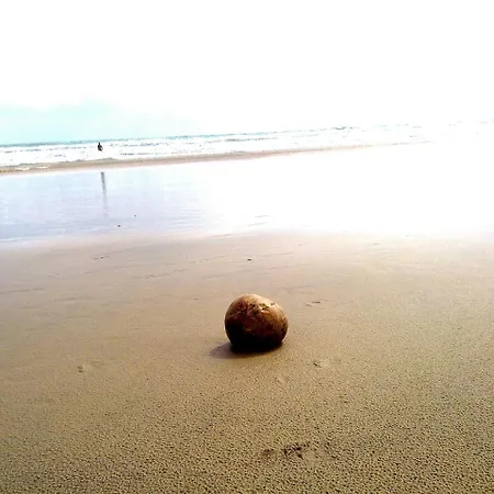 Beach Class Rosalux-3