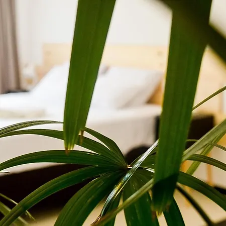 Innsenso B&B-2