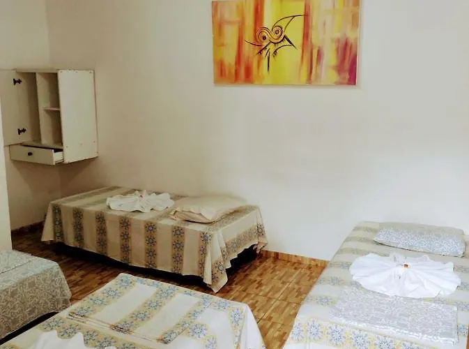 Pet friendly Pousada Olimpia Maceio 