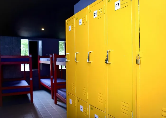 Pet friendly Reef Hostel & Pousada Recife