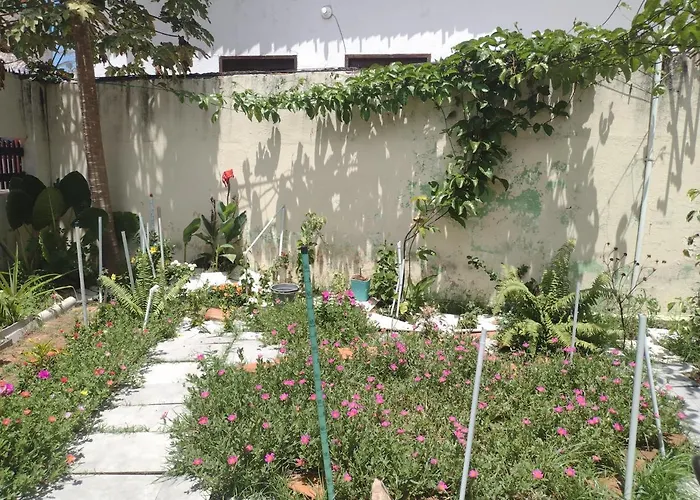 Villa Casa Jeri à Jericoacoara acceptant les animaux