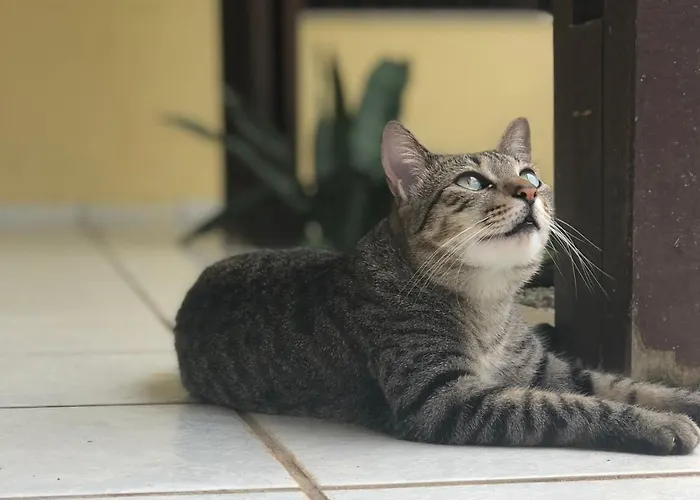 Pousada Casa Ikena Natal