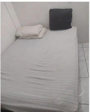 Temporada Salvador Hotel admite animales