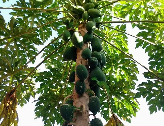 Pousada Perola Do Rio Barreirinhas