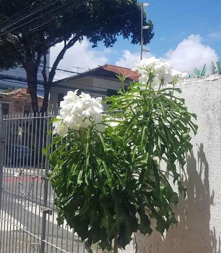 Acero'Lar Hostel Recife