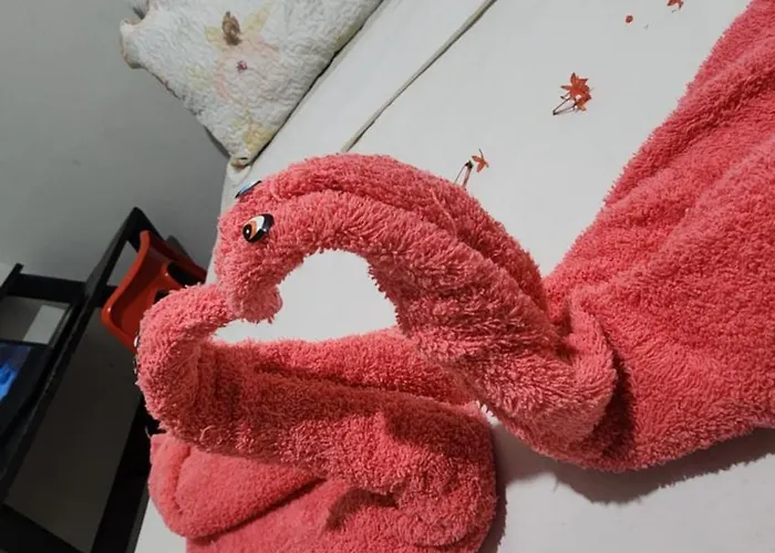Pet friendly Hostel Hay'S 1 Aeroporto Boa Viagem Recife
