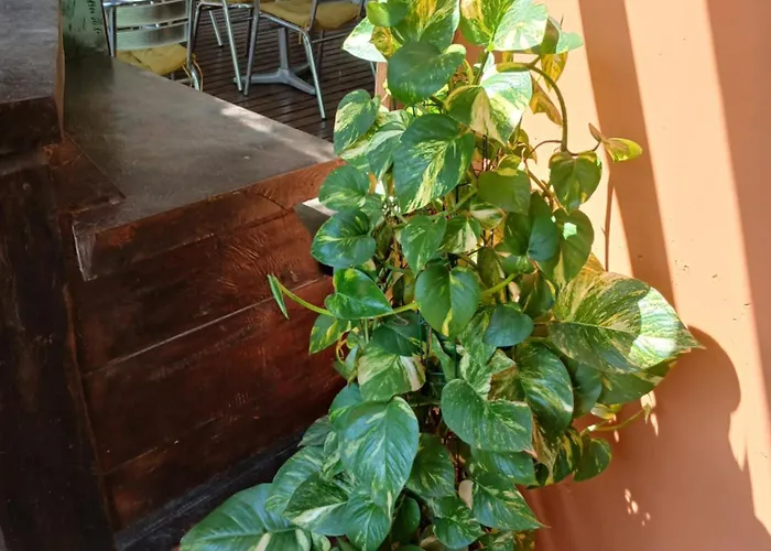 Pousada Cacau e Dendê Barra Grande 
