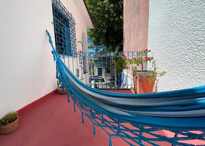 Zili Pernambuco - Hostel Pousada Recife