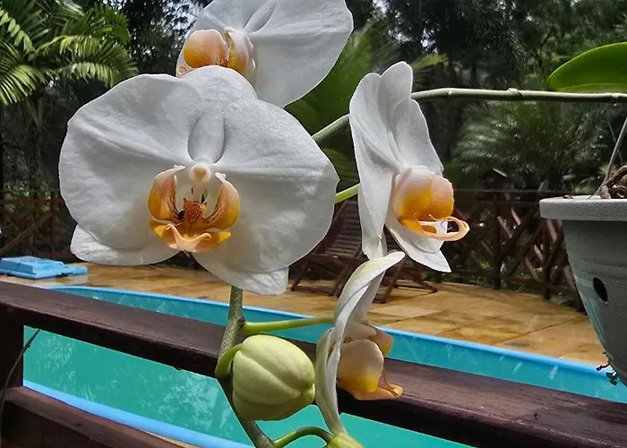 Villa Suíça Guaramiranga