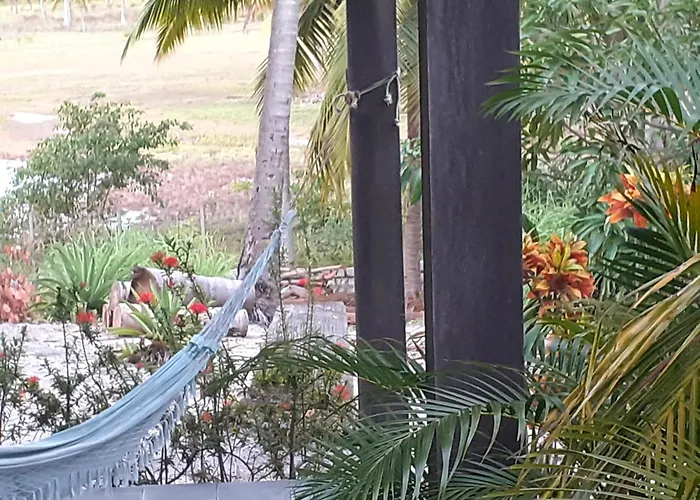 Ecolodge Batel Alagoas Coruripe