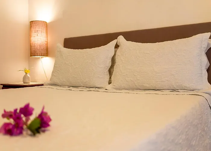 Pet friendly Espaco Fateixa Jijoca de Jericoacoara