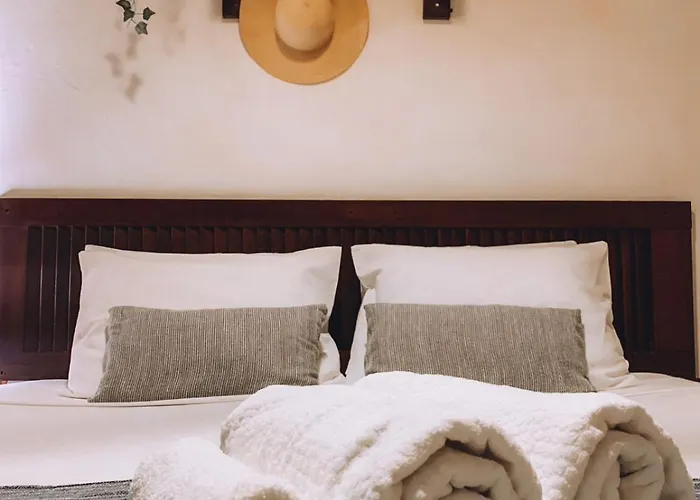 Pet friendly Pousada Beija Flor Salvador