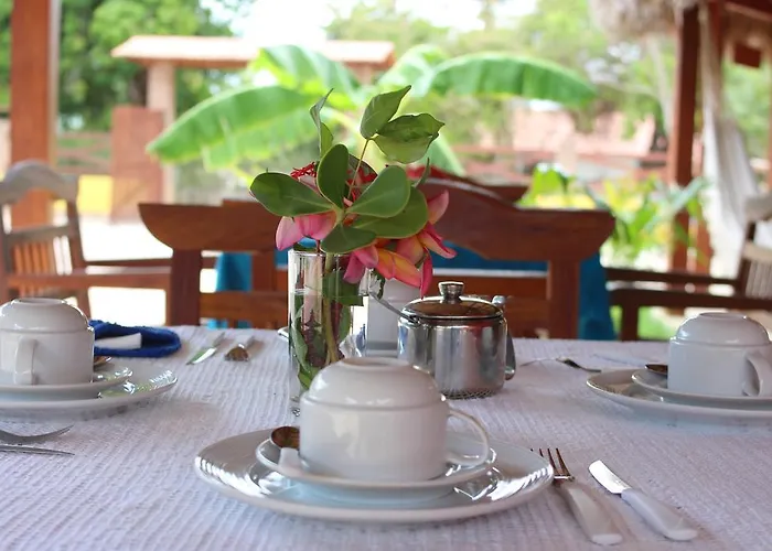 Pet friendly Pousada Paraiso Dos Ipes Jijoca de Jericoacoara